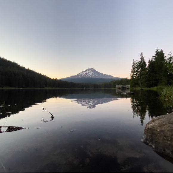 Meet your Posher, Alex - Picture 1 of 1